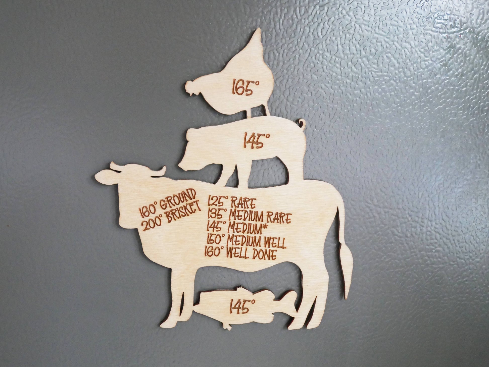 Meat Temperature Guide Magnet